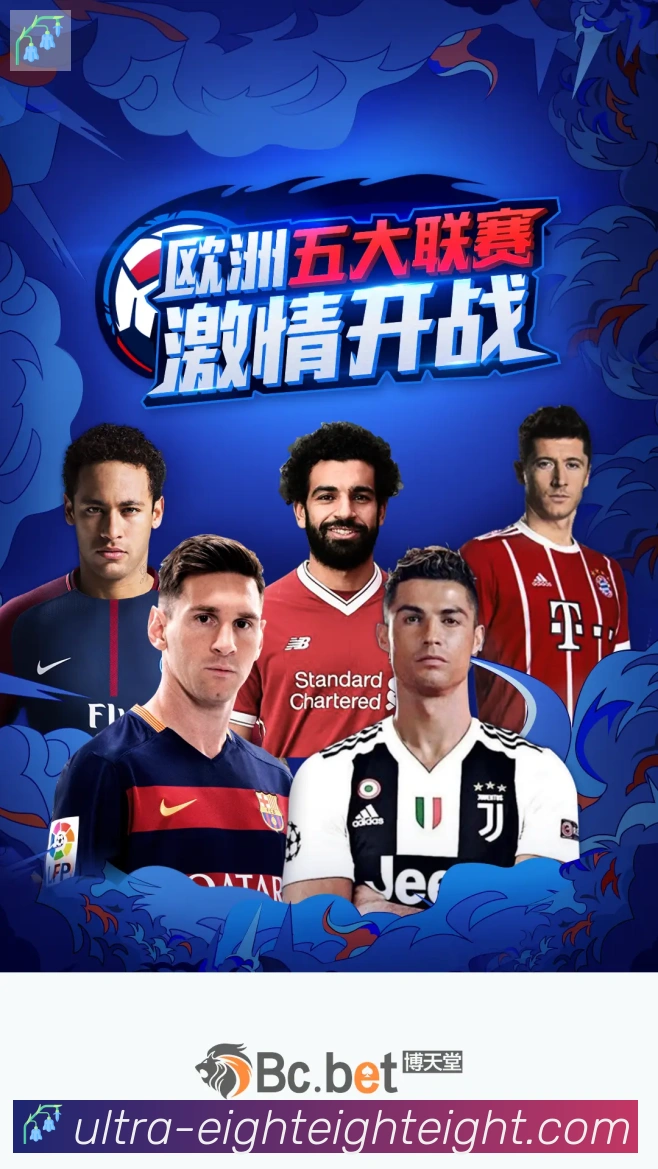 未来规划